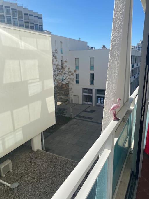 Apartment Petite Vue Mer, Centre Motte